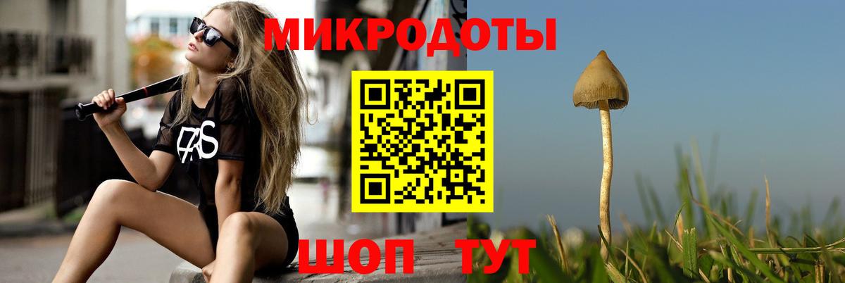 Красноармейск  Галлюциногенные грибы MAGIC MUSHROOMS  Вход с VPN  Псилоцибиновые грибы ЛСД 